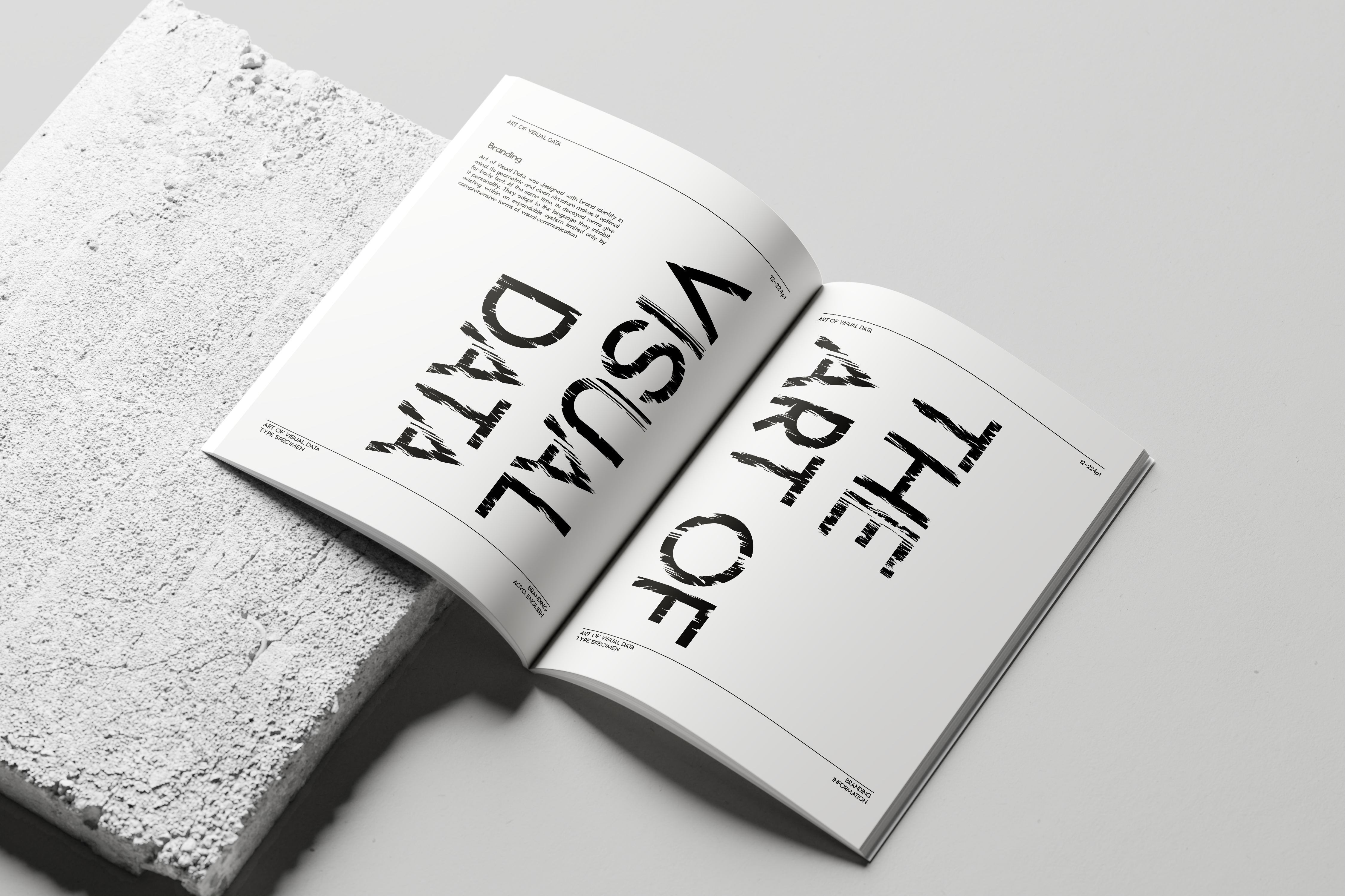 Type Specimen booklet about the typeface called Art of Visual Data.